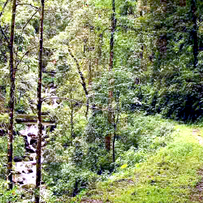 Jaldhaka Hydel Project